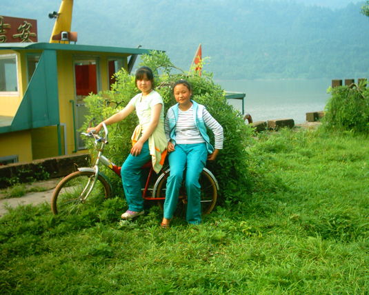 2006  (44)